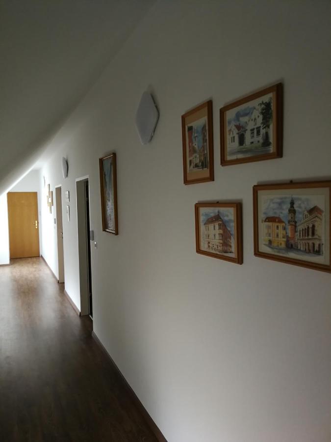 Levanda Panzio Kópháza Buitenkant foto