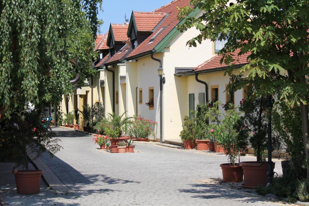 Levanda Panzio Kópháza Buitenkant foto