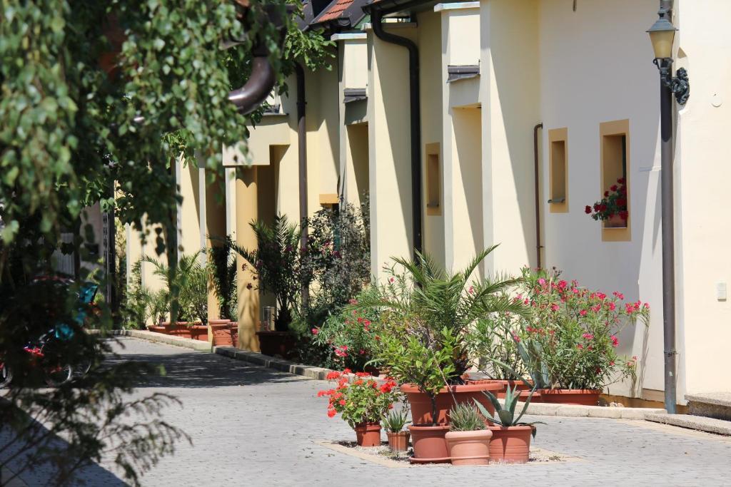 Levanda Panzio Kópháza Buitenkant foto